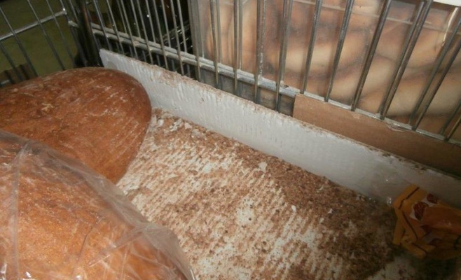 С начала года в Чехии закрыто 35 ресторанов из-за несоблюдения санитарных норм