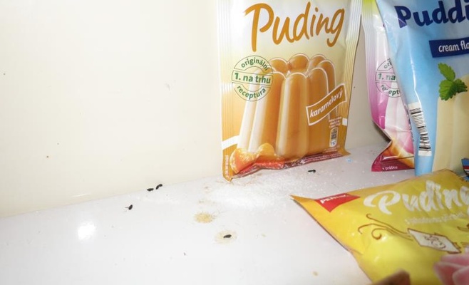 С начала года в Чехии закрыто 35 ресторанов из-за несоблюдения санитарных норм