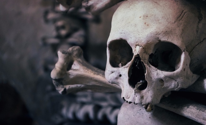 Люстра из тысячи человеческих костей в Седлеце будет отреставрирована