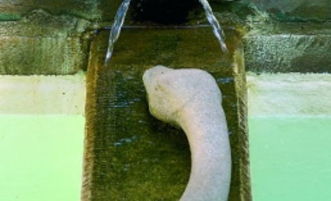 День открытых дверей в Грзанском дворце