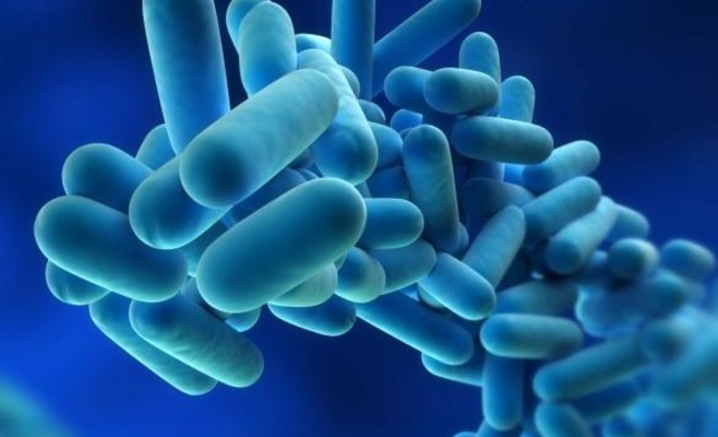 Бактерия легионеллы вновь обнаружена в воде, жителям Праги не рекомендуется временно пить воду