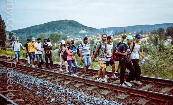 Немецкие СМИ: Новый путь беженцев будет проходить через Чехию