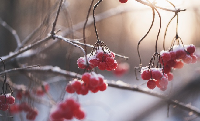 Сегодня утром в Чехии было до -16 градусов