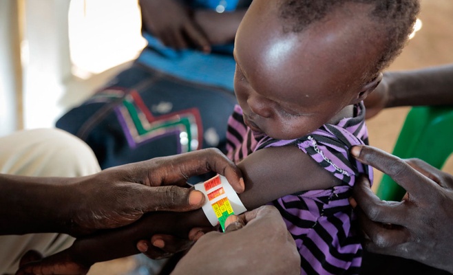 Выставка «Полевой госпиталь»