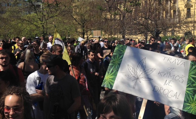 Тысячи человек приняли участие в шествии за легализацию марихуаны