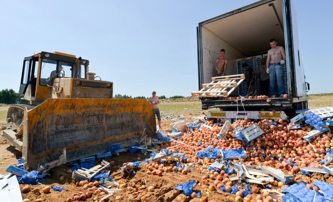 В России уничтожили санкционные овощи и фрукты, привезенные из Чехии