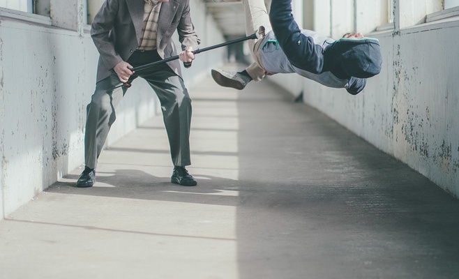 Fresh senior festival