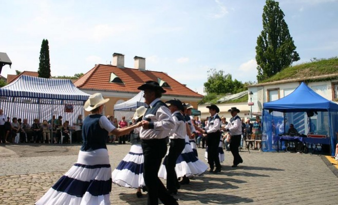 Fresh senior festival