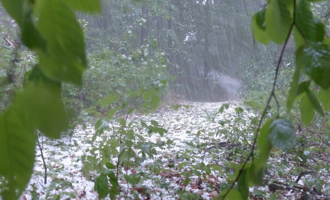 Непогода в Чехии: град, ливень и сильный ветер