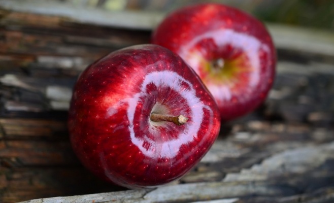 Яблочные торжества и фестиваль сидра