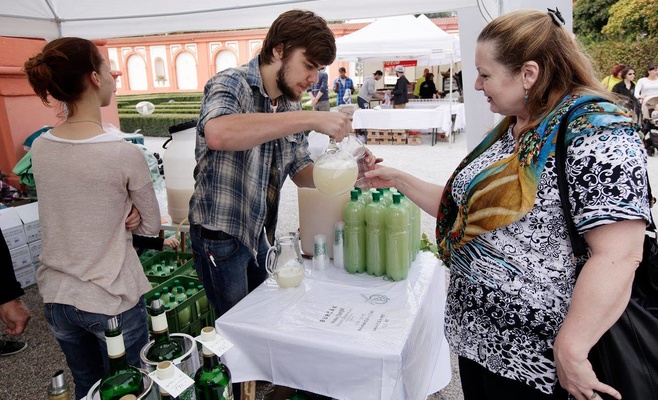 Сбор винограда в Тройском замке
