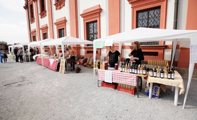 Сбор винограда в Тройском замке