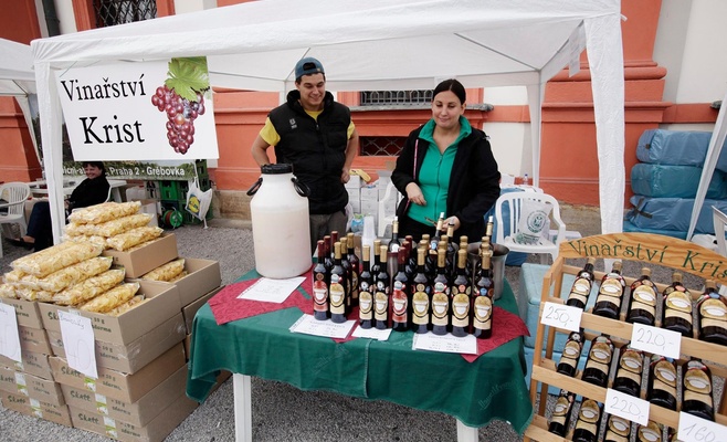 Сбор винограда в Тройском замке