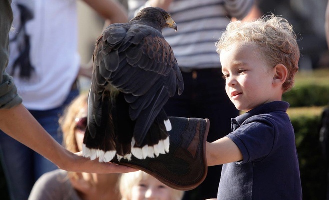 Сбор винограда в Тройском замке