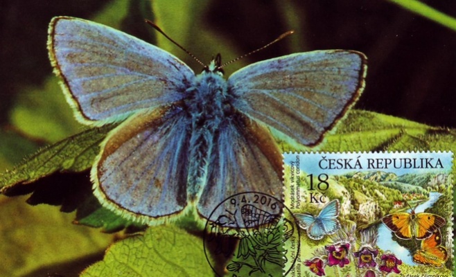 Выставка иллюстраций Orbis naturalis pictus