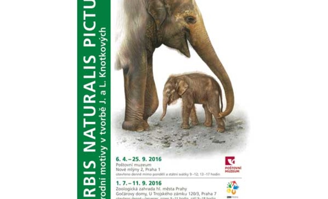 Выставка иллюстраций Orbis naturalis pictus