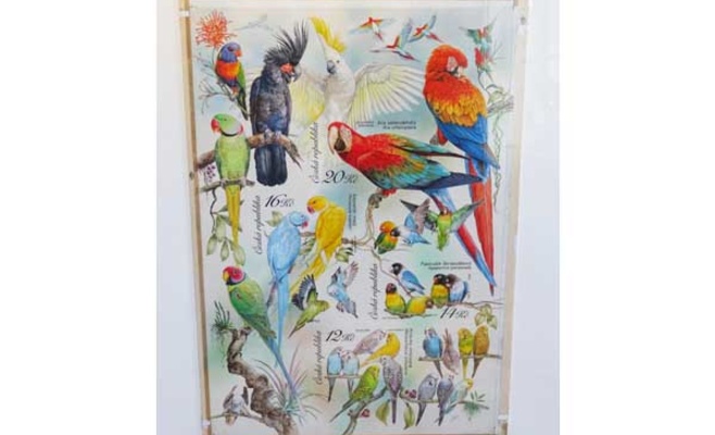 Выставка иллюстраций Orbis naturalis pictus