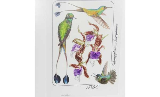 Выставка иллюстраций Orbis naturalis pictus