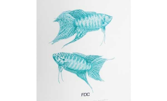 Выставка иллюстраций Orbis naturalis pictus