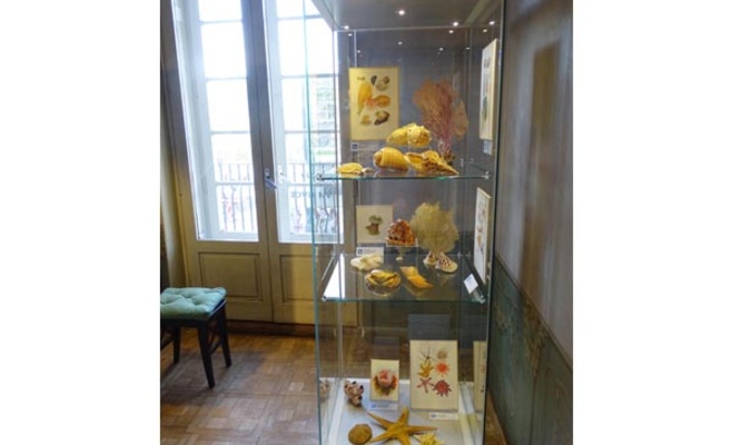 Выставка иллюстраций Orbis naturalis pictus