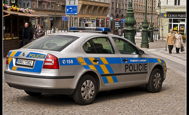 Выставка «В плену безопасности»