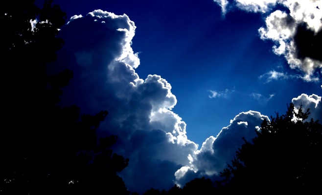 Проливные дожди и ветер вернутся сегодня вечером