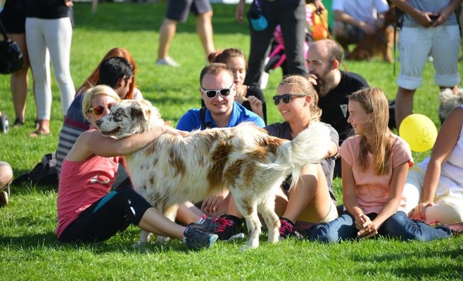 Фестиваль для собак и семей PesFest