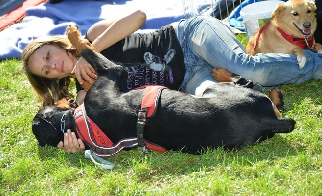 Фестиваль для собак и семей PesFest