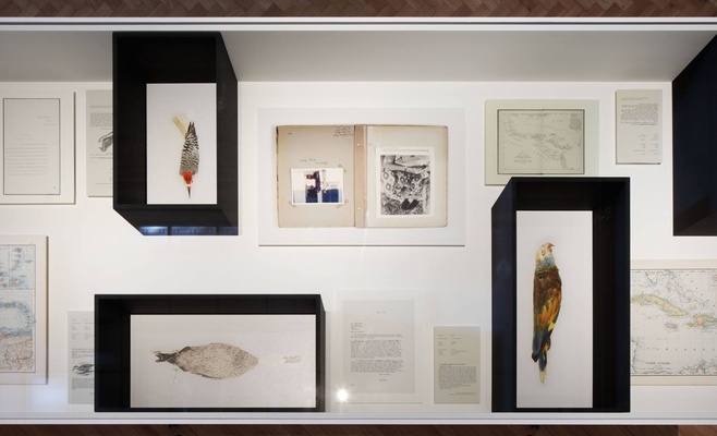 Выставка фотографа Тарин Саймон