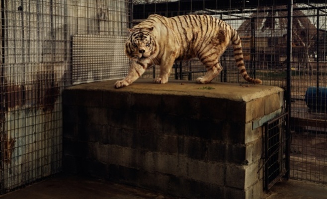 Выставка фотографа Тарин Саймон