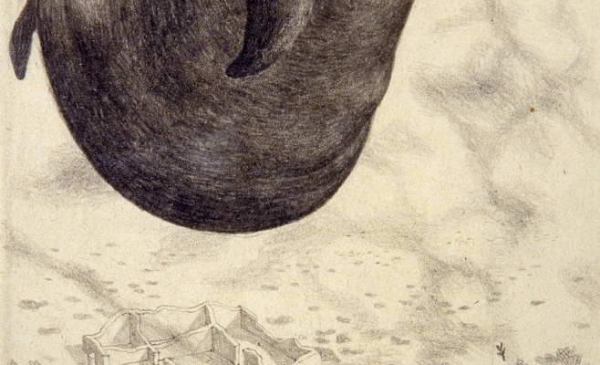 Выставка «Пражский фантастический реализм 1960—1967»