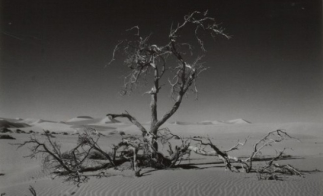 Выставка фотографа Томаша Умлауфа «Lifestyle»