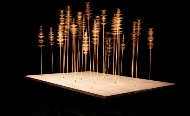 StartPoint — выставка лучших работ выпускников европейских художественных школ