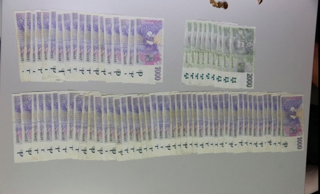 Задержаны иностранцы, обокравшие десятки домов по всей Чехии