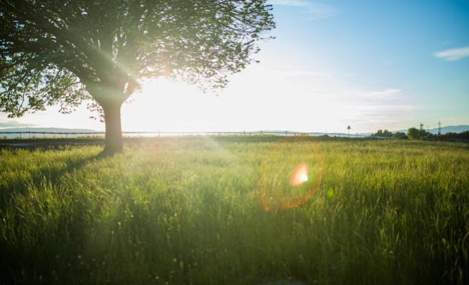 Экстремальной жары в ближайший месяц не будет