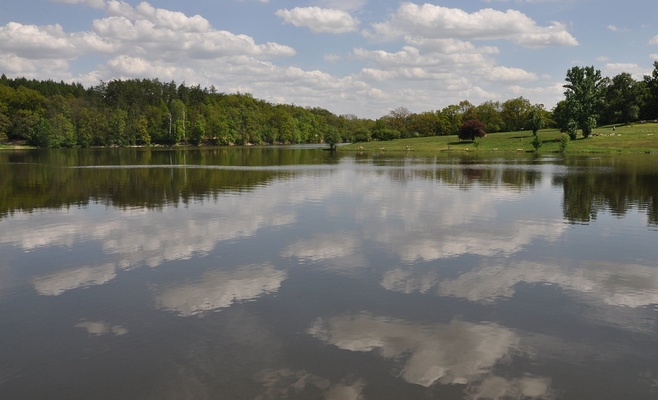 Пражская санитарная служба контролирует качество воды в водоёмах