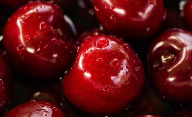 Где в Праге можно бесплатно собирать черешню?