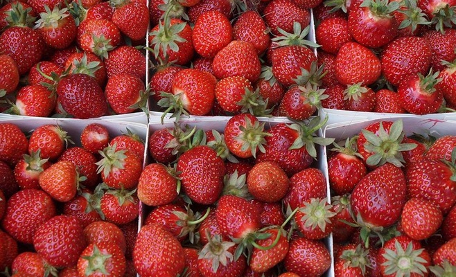 Фестиваль клубники