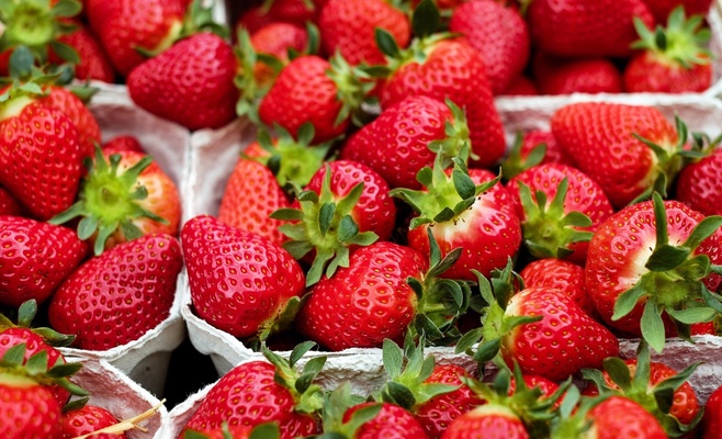 Где в Праге можно недорого собирать клубнику?