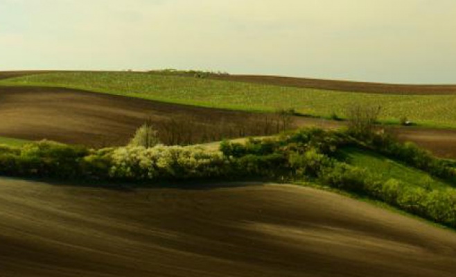 Выставка «Истории чешской природы»