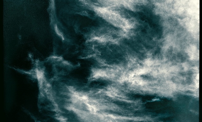 Павел Нешлега: «Via Canis»