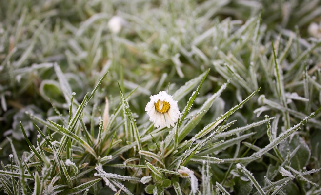 В чешских горах был мороз, пали температурные рекорды