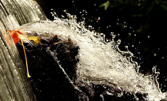 В Чехии из-за засухи уменьшаются запасы воды