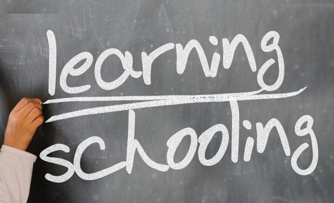 Бесплатные образовательные курсы для цыган