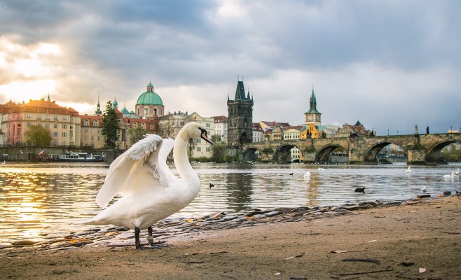Жары в этом году уже не будет