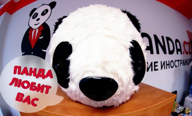 Страхование иностранцев. Взгляд изнутри