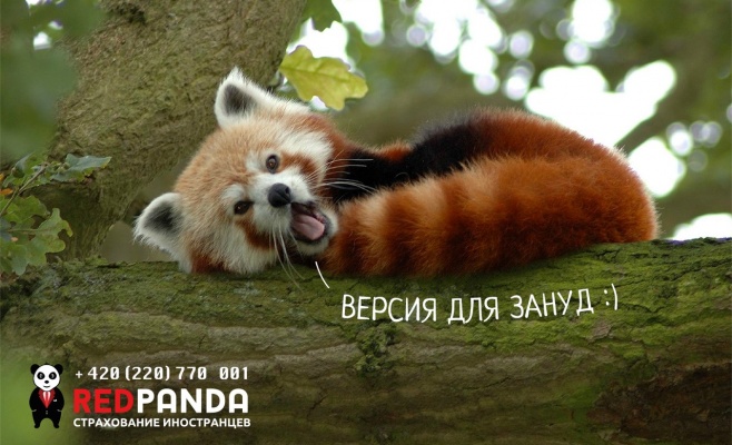 Страхование иностранцев. Взгляд изнутри