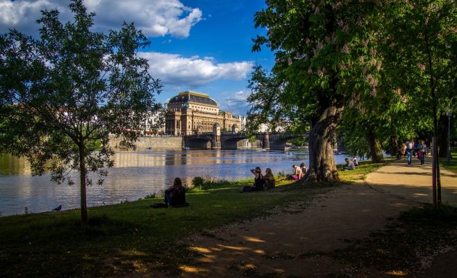 Праздник сбора винограда и молодого вина на Стрелецком острове