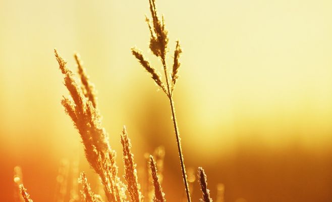 Чехия переживает самый жаркий сентябрь с 1983 года